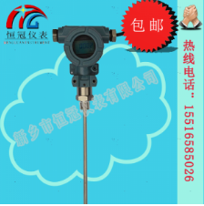  射頻導(dǎo)納液位計的工作原理如何？